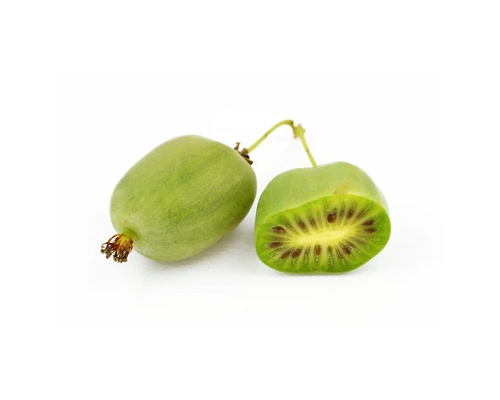 Arctic Kiwi