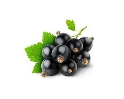 Classic Black