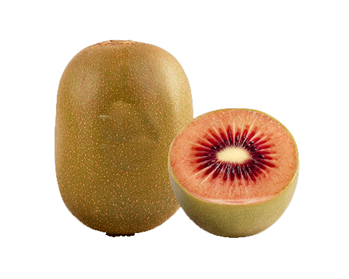 Enza Red