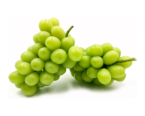 Muscat Magic