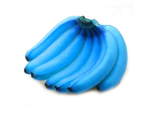 Blue Java Ballet