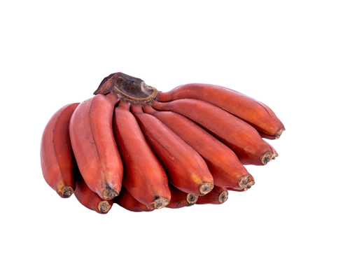 Red Banana Rendezvous