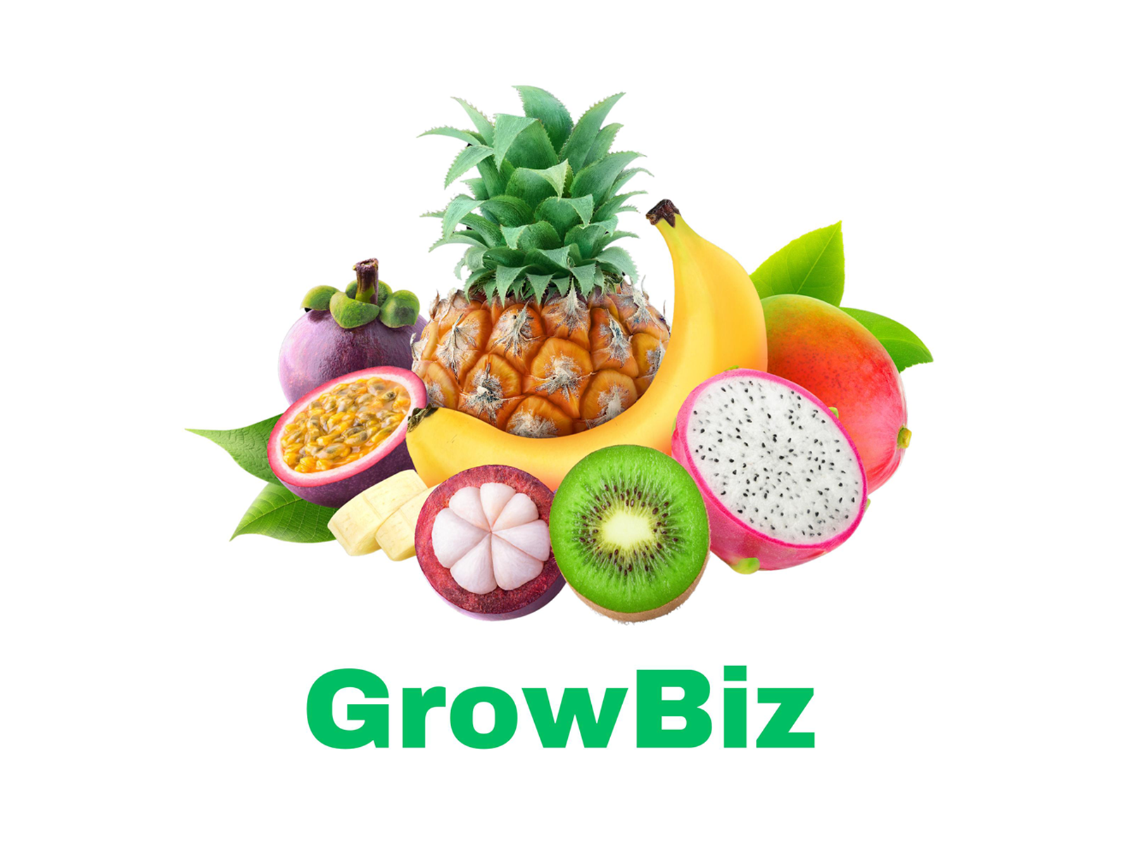 GrowBiz